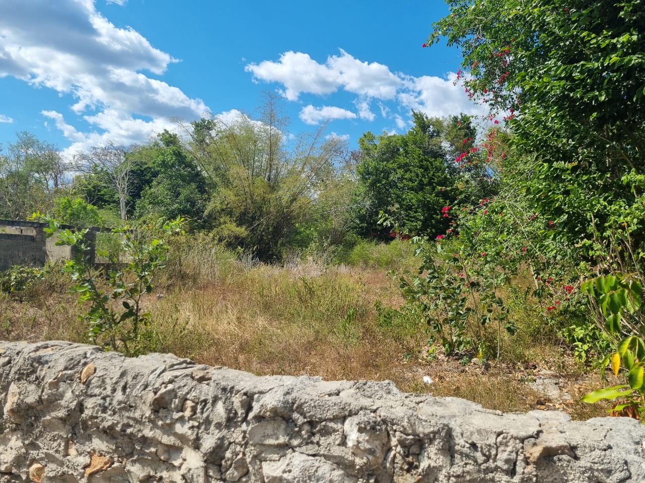 Magical Izamal opportunity