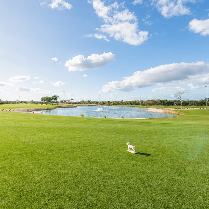 Residential Land with Golf Course