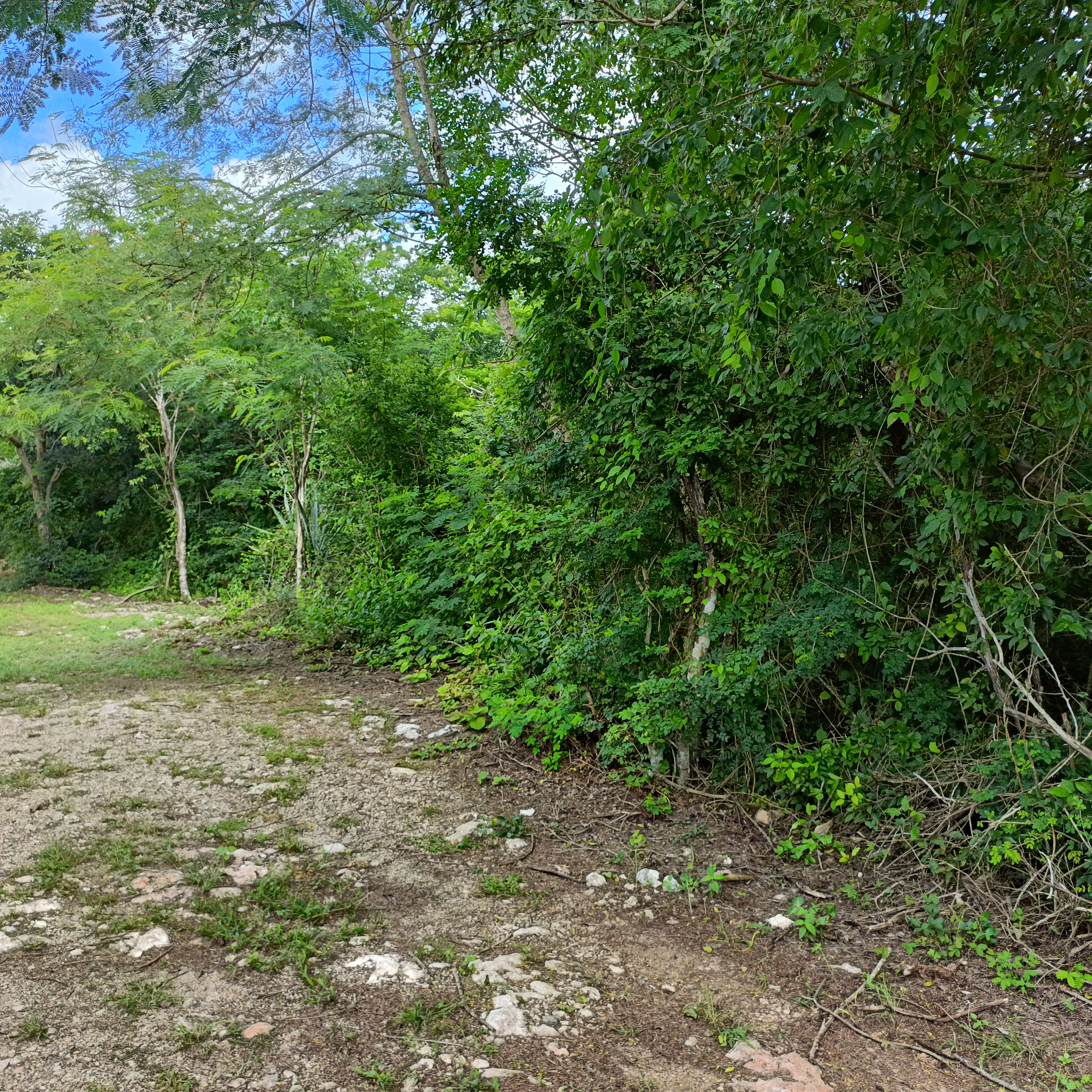 Finca Tropical