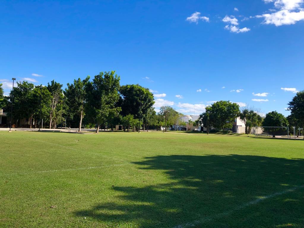 In front of the Park in La Rejoyada