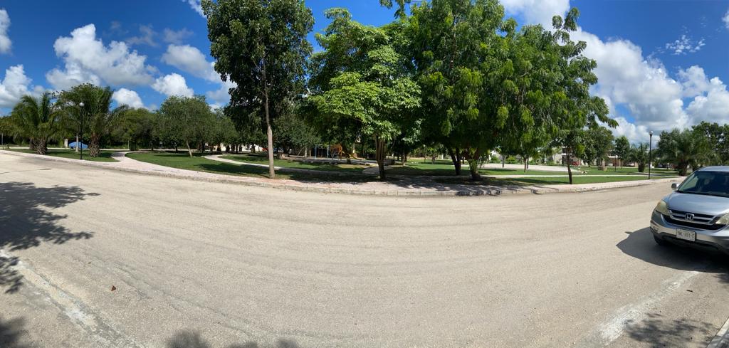 In front of the Park in La Rejoyada