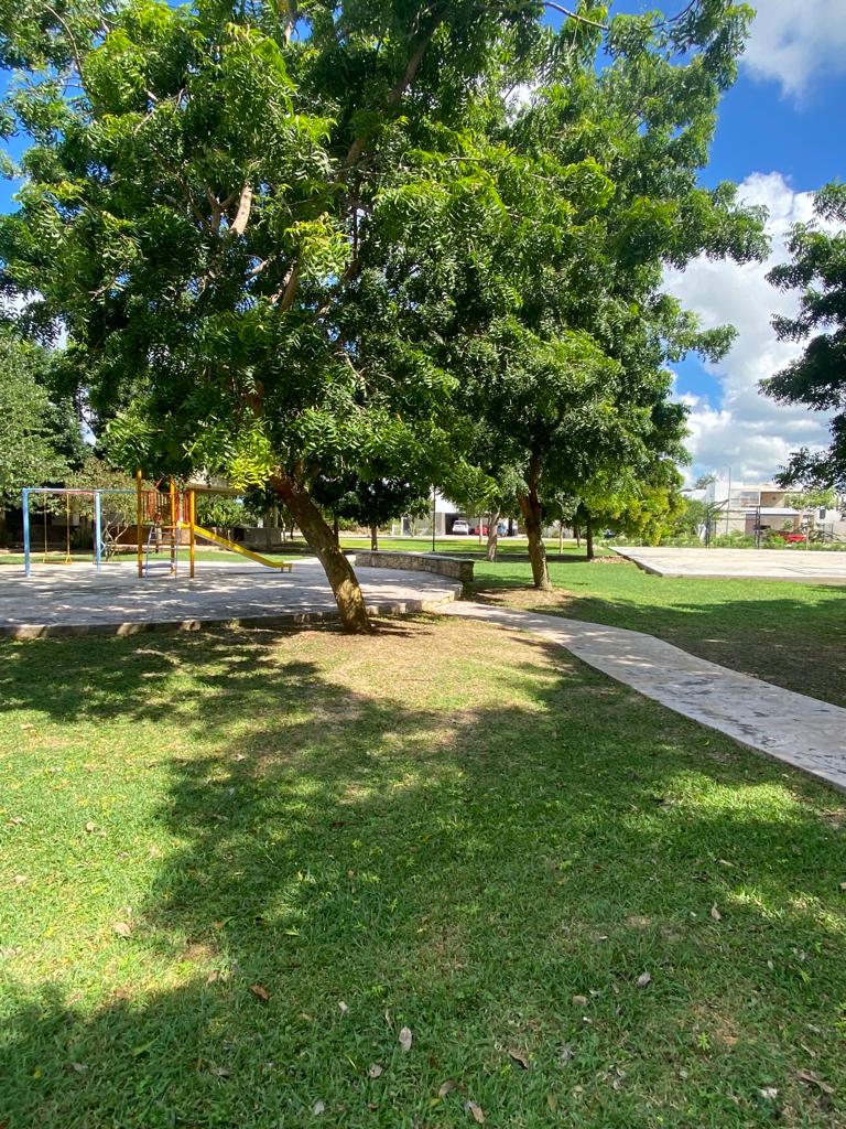 In front of the Park in La Rejoyada