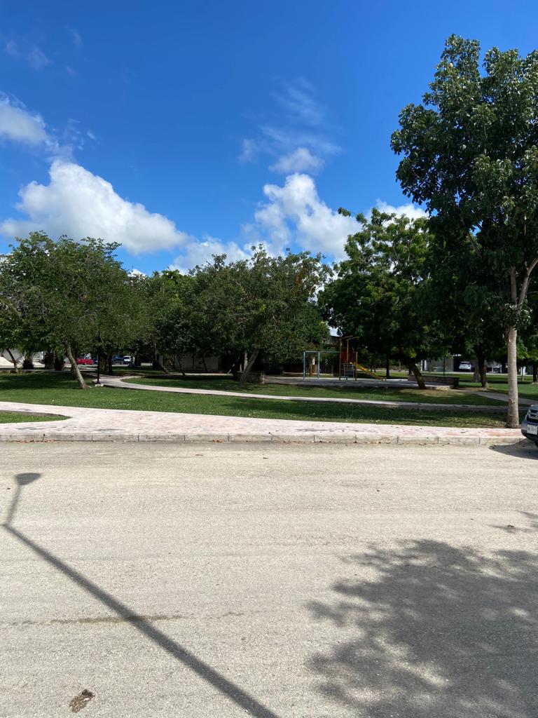 In front of the Park in La Rejoyada