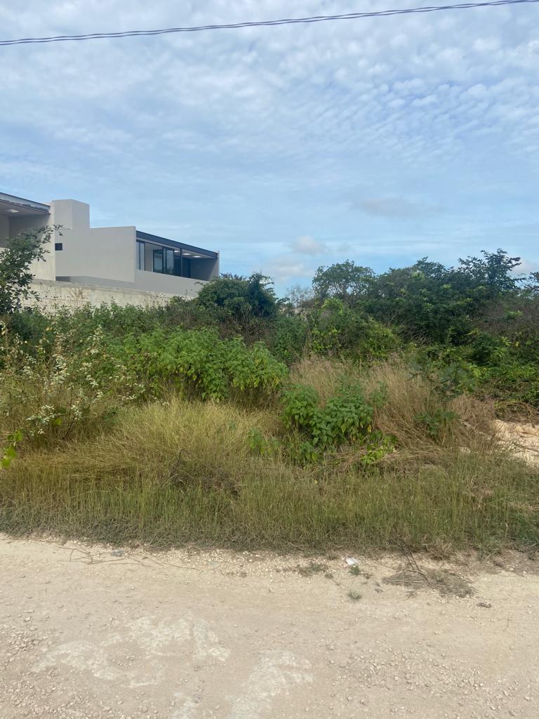 Excellent Land in San Antonio Hool