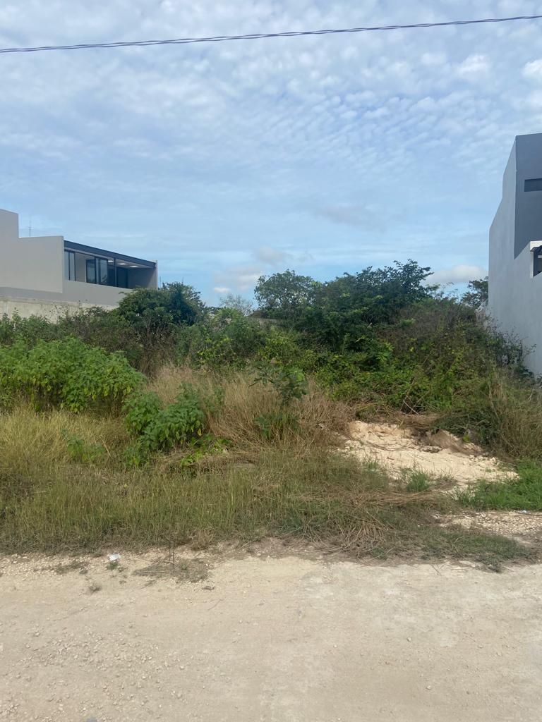 Excellent Land in San Antonio Hool