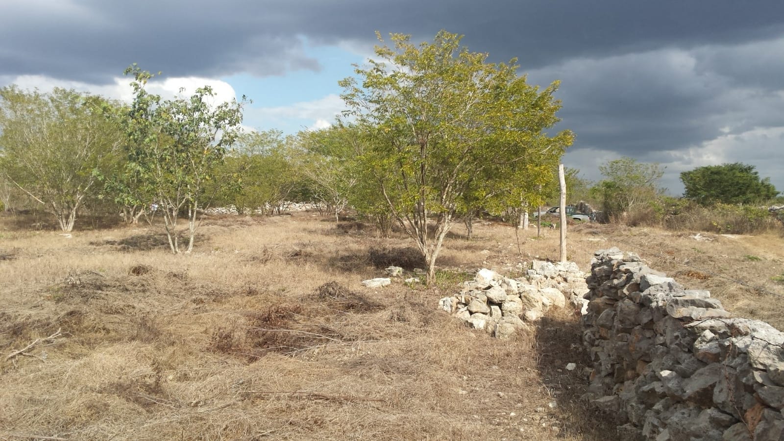 Magnífico Terreno de 2,480 m2 en Izamal