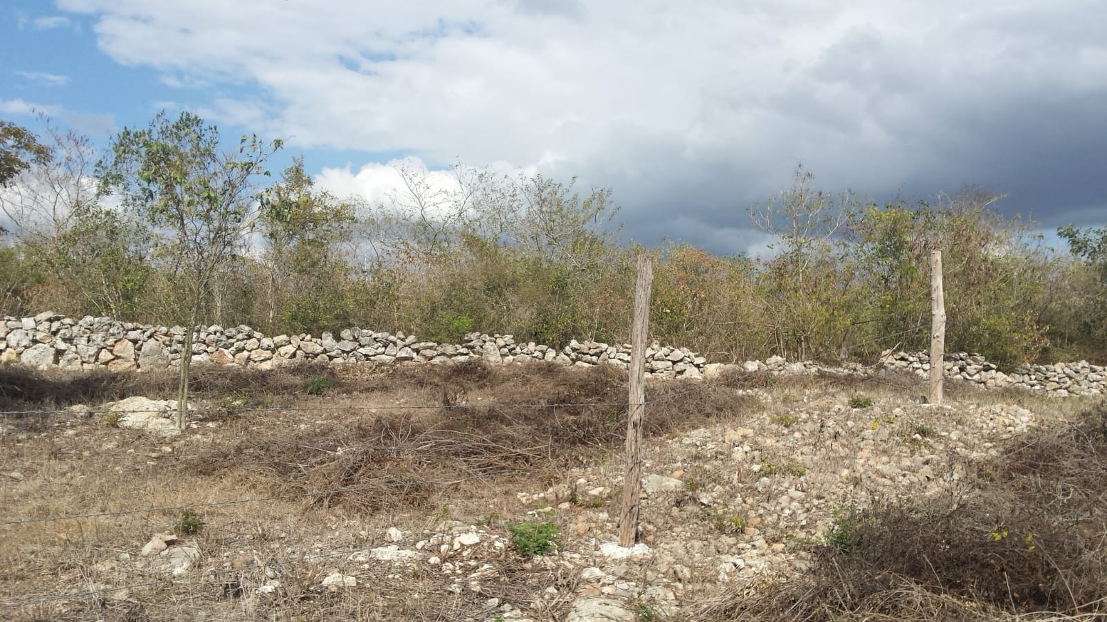 2,480 sq. m. lot in Izamal