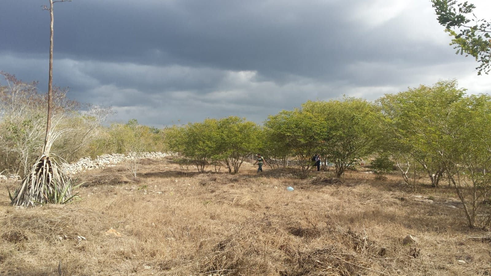 2,480 sq. m. lot in Izamal