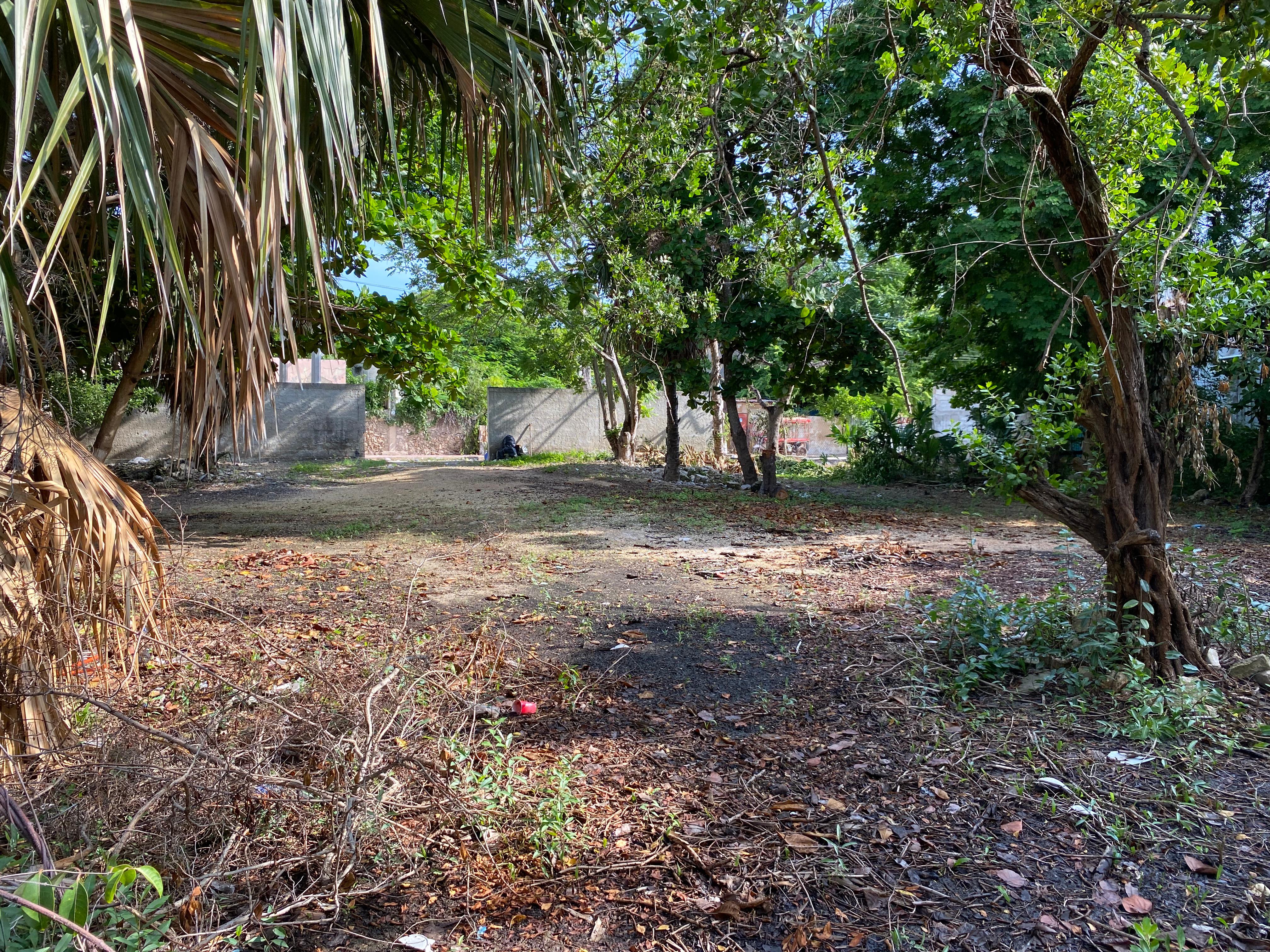 Paraíso en Celestún