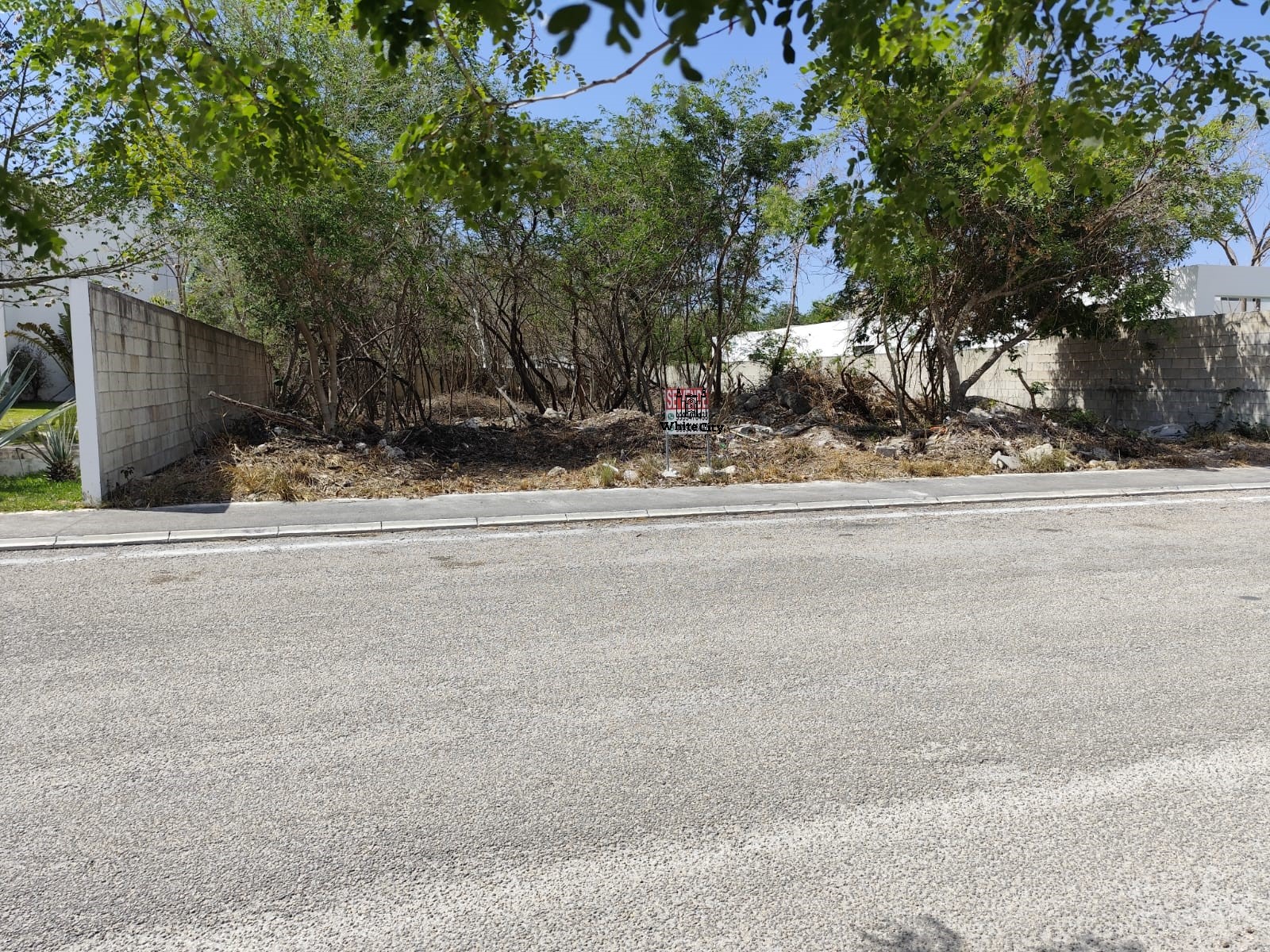 Fenced Lote in La Rejoyada