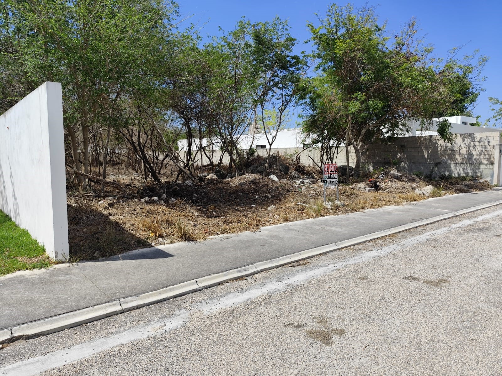 Fenced Lote in La Rejoyada