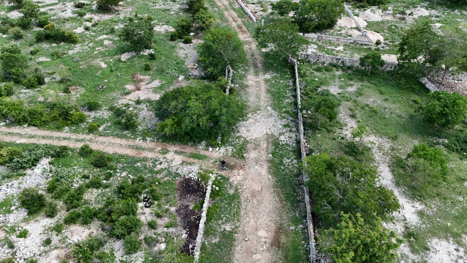 1 Hectare in Dzityá