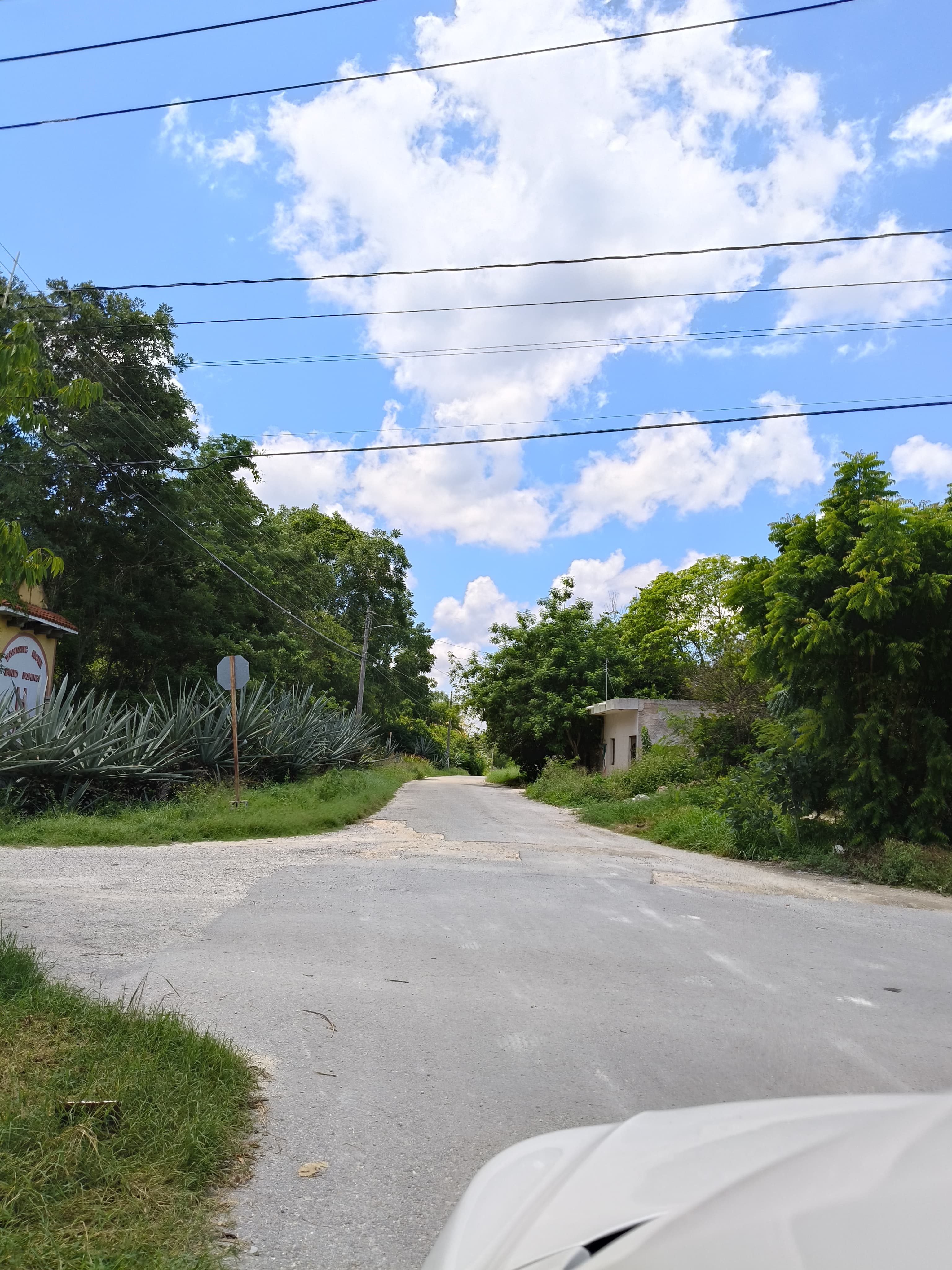 Los Árboles Izamal, Lot 1