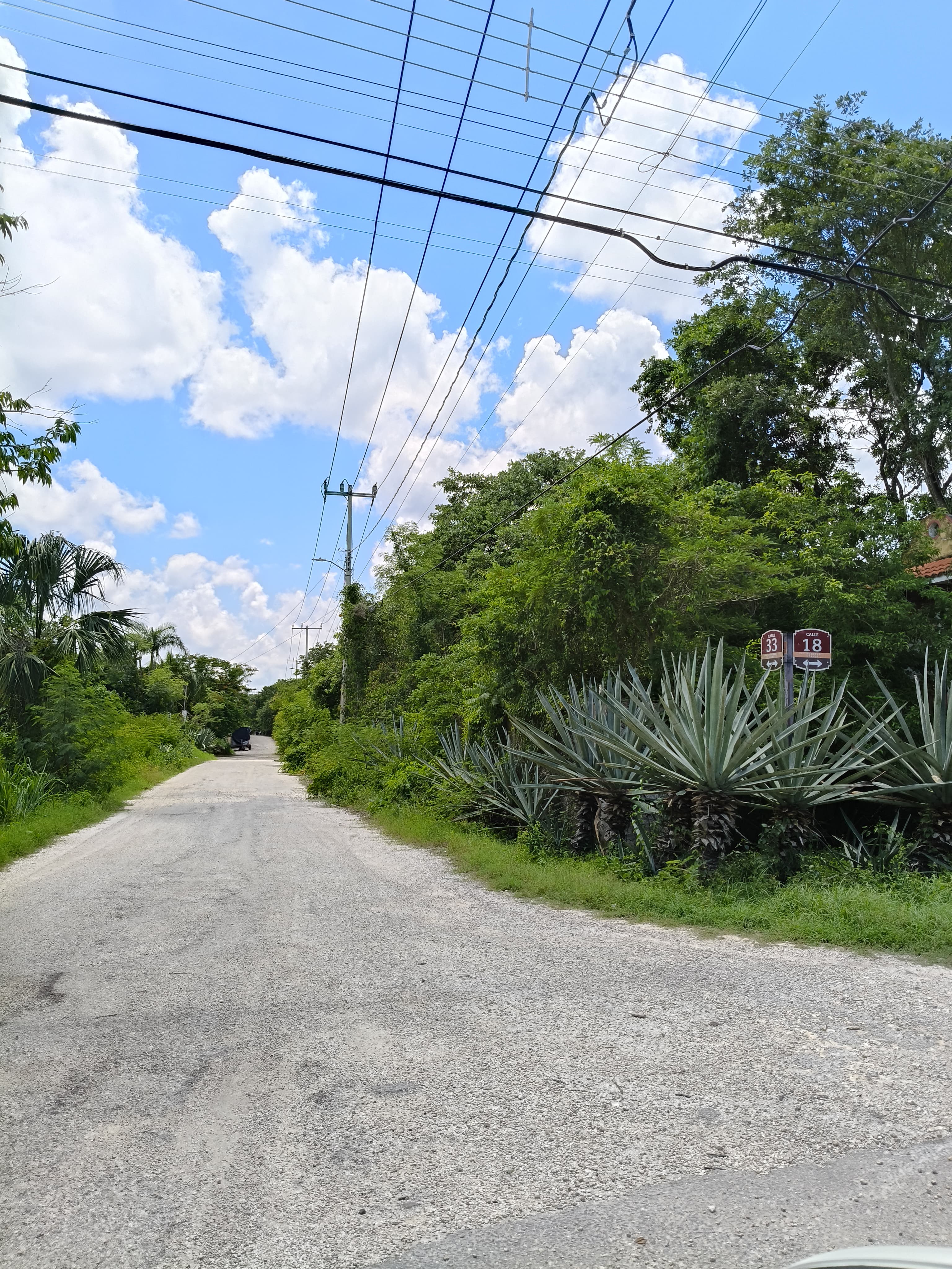Los Árboles Izamal, Lot 1