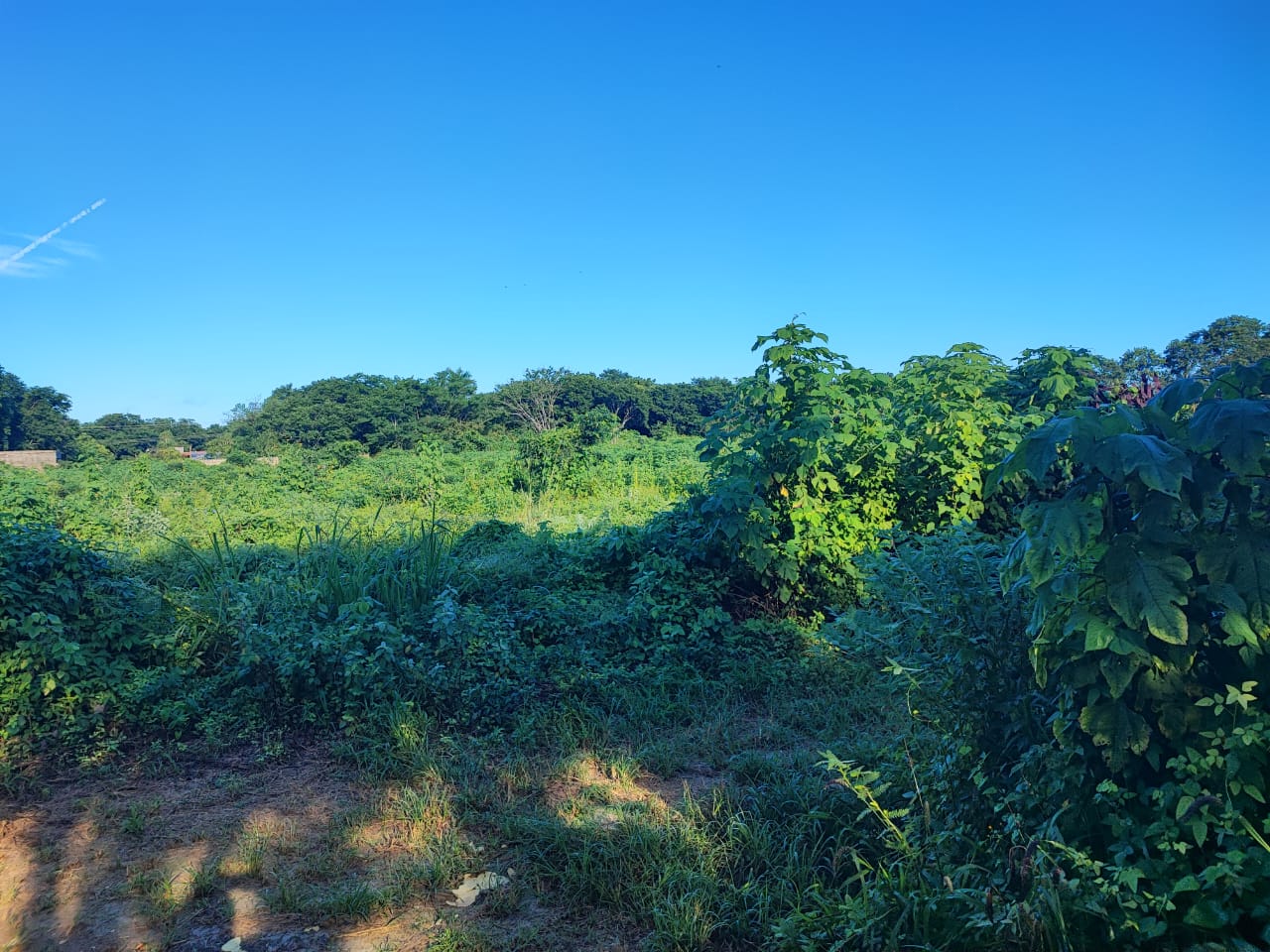 5,337 sq. m. in Conkal