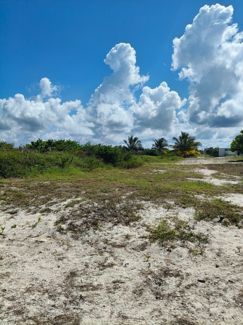 Invest in the Yucatecan Riviera