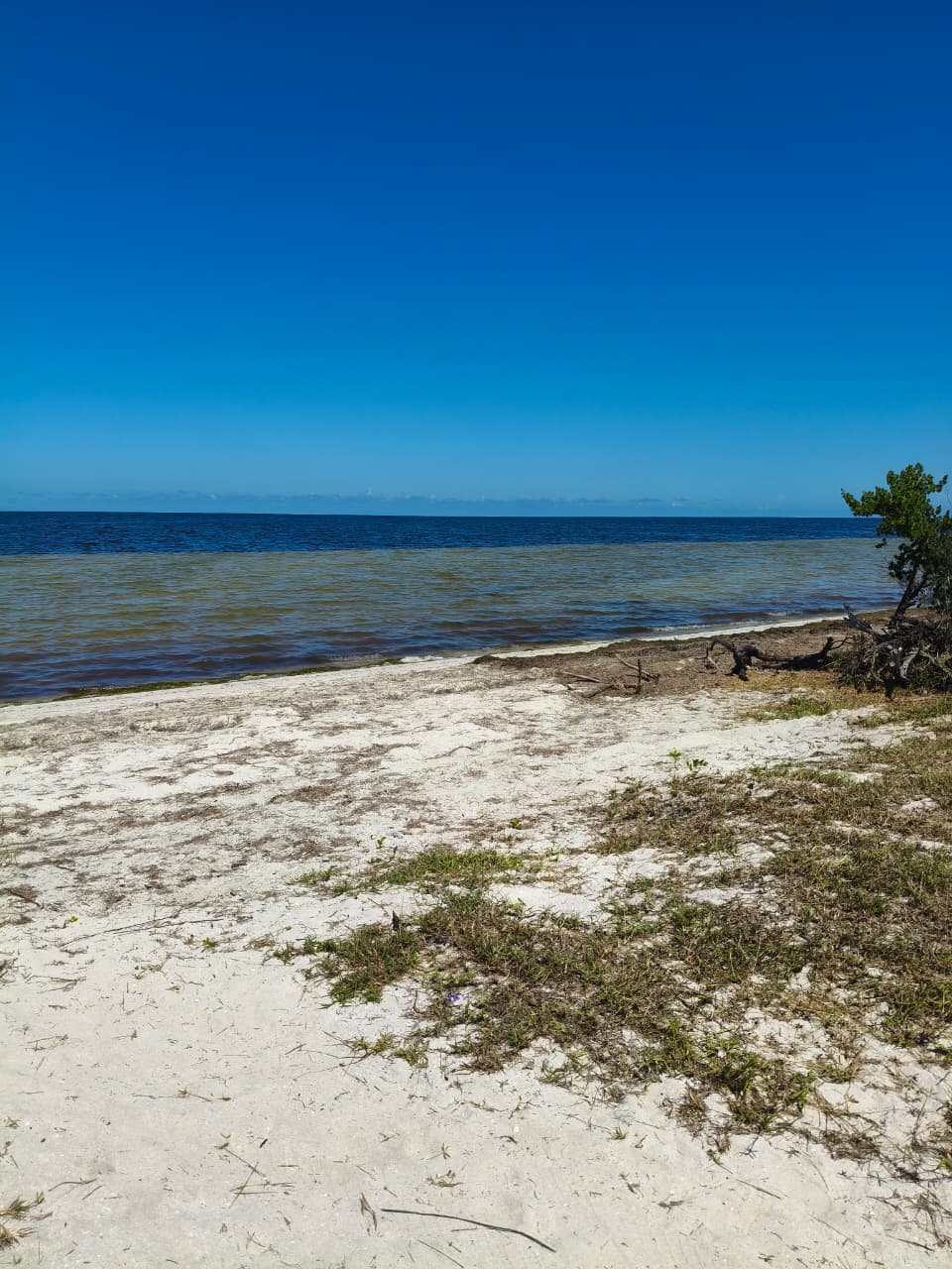 Invierte en la Riviera Yucateca