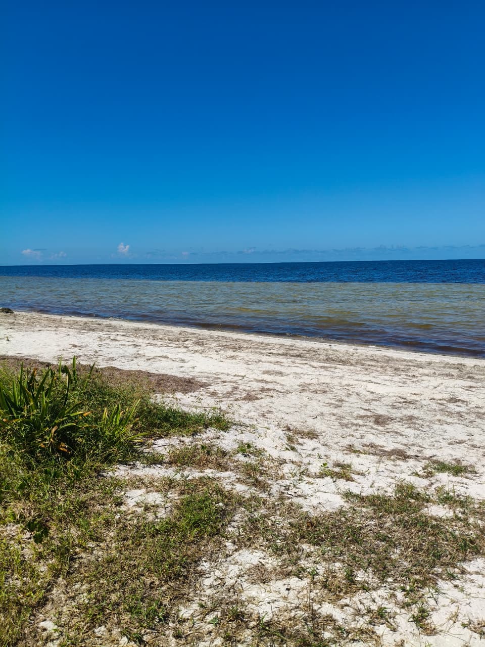 Invest in the Yucatecan Riviera