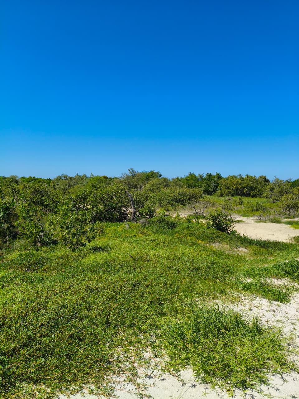 Invierte en la Riviera Yucateca