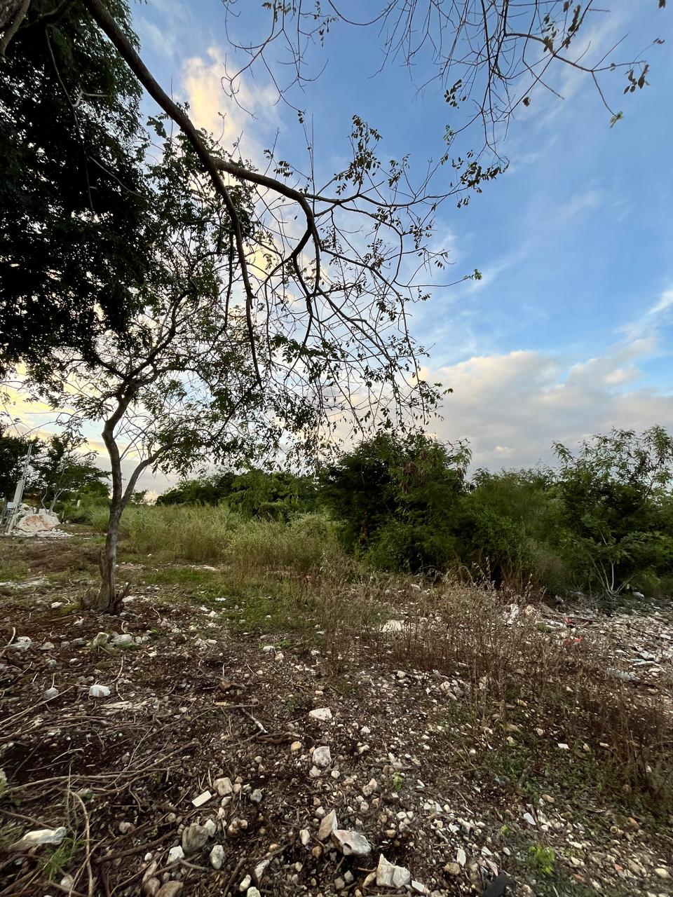 Lot for sale next to Real Montejo, Mérida
