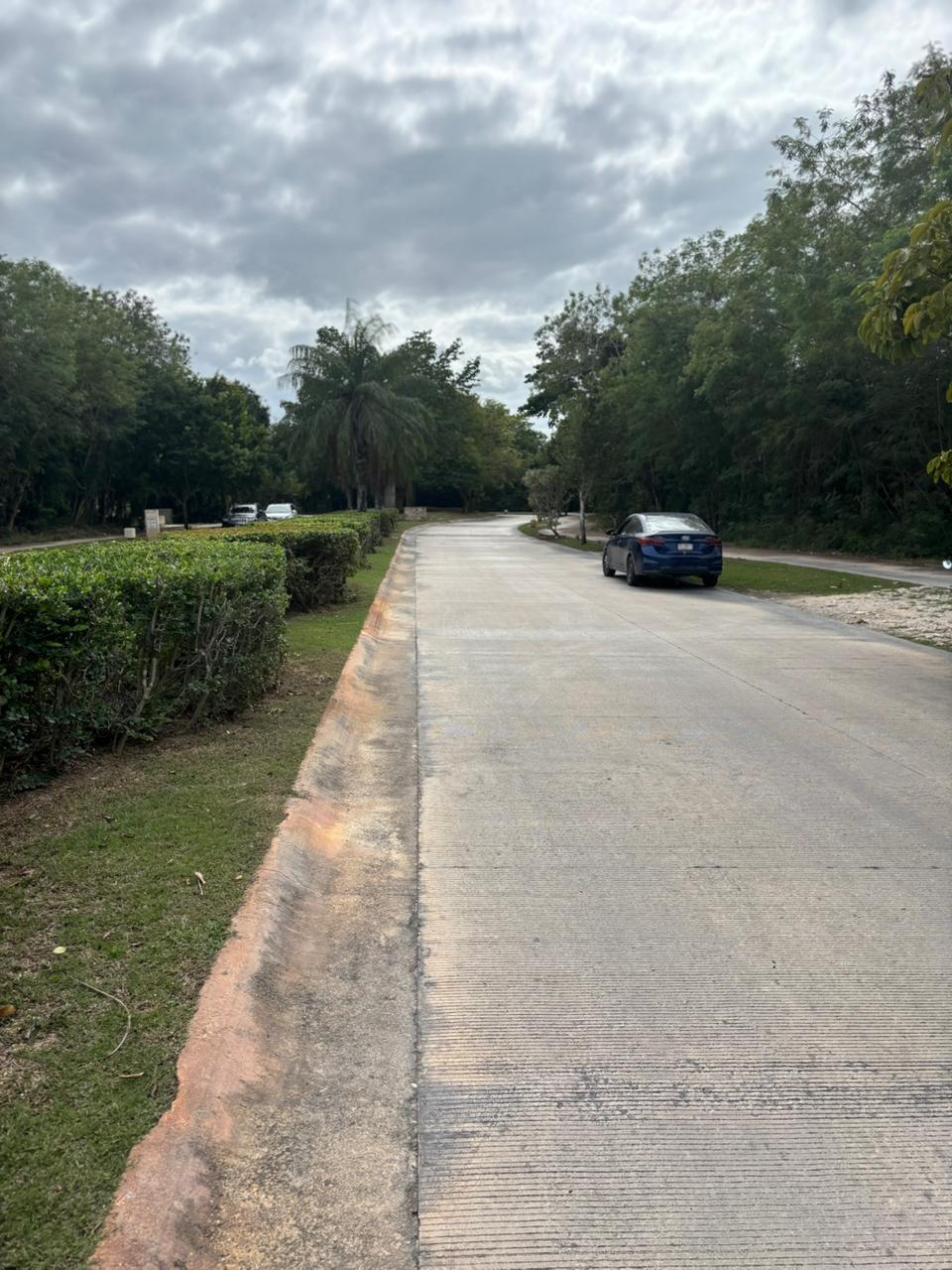 Lot in Av. Paseo del Jaguar, Yucatán Country Club