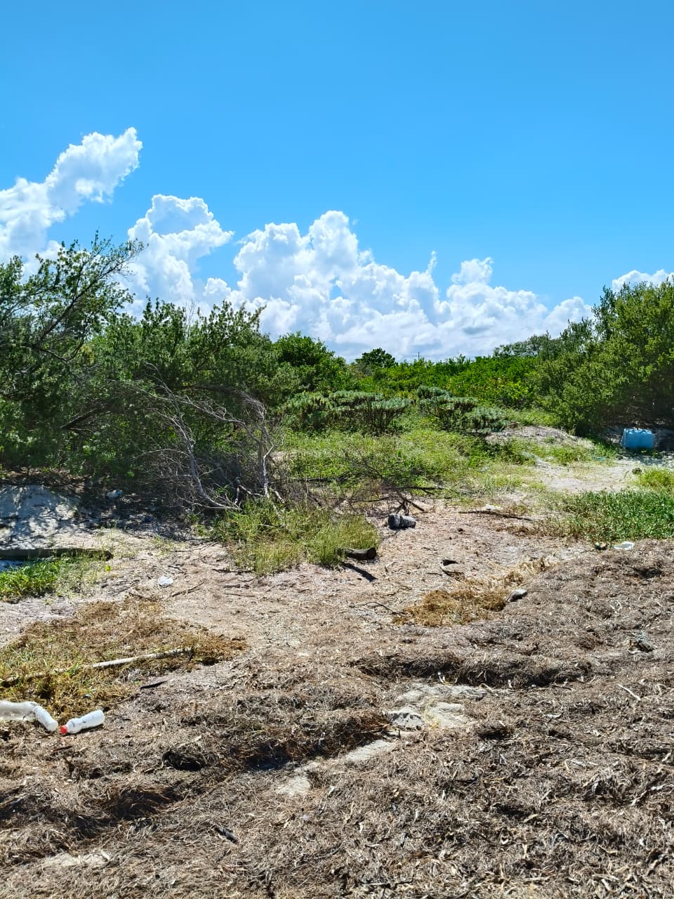 Frente al Mar en Chabihau