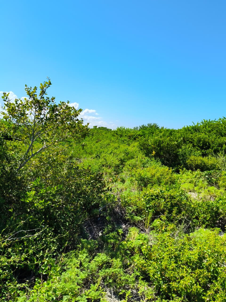 Frente al Mar en Chabihau