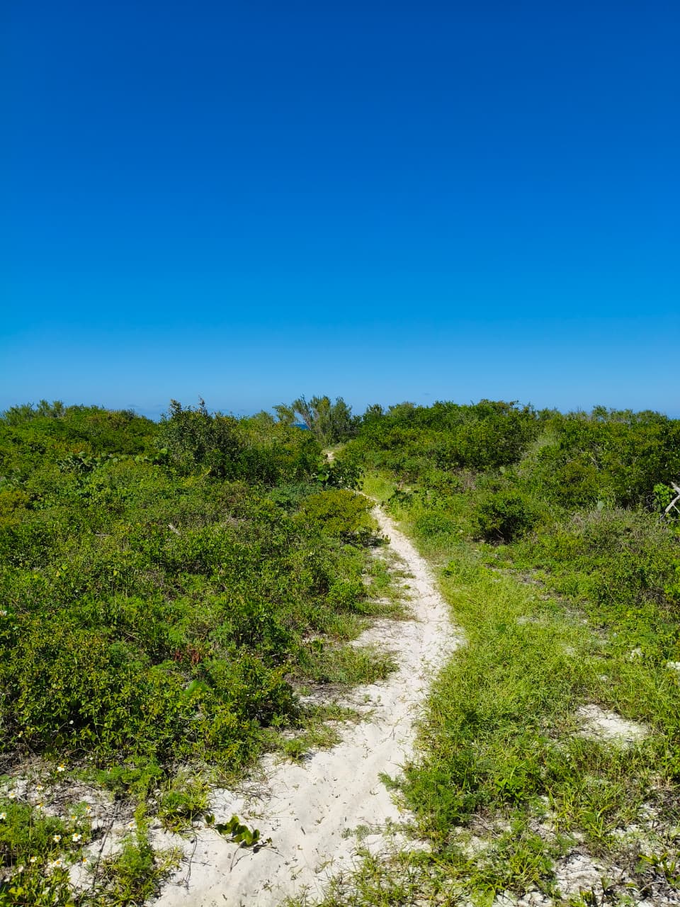 Frente al Mar en Chabihau
