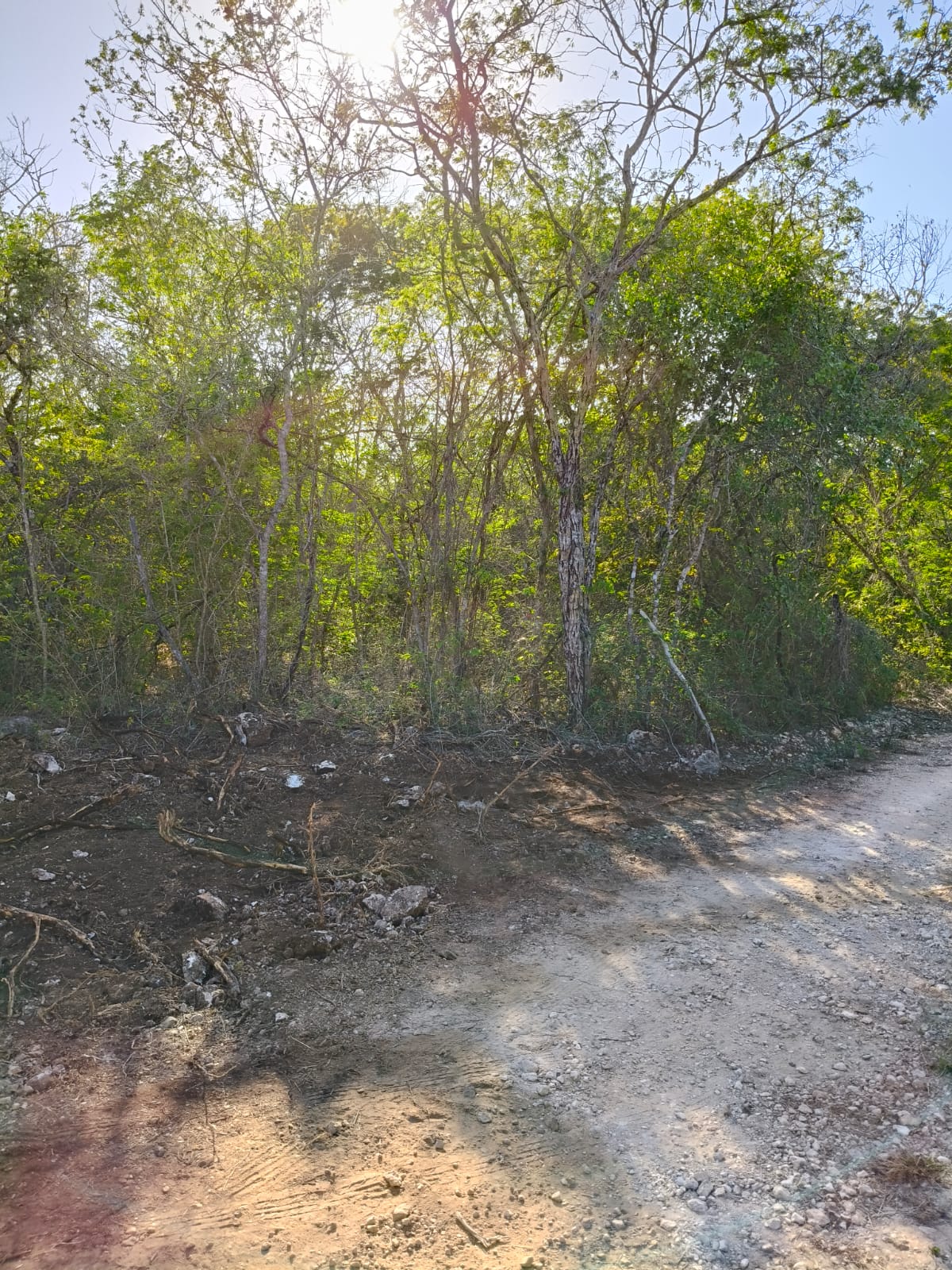 2.4 Ac in Tixkuncheil