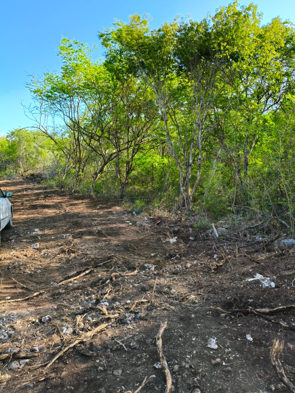2.4 Ac in Tixkuncheil