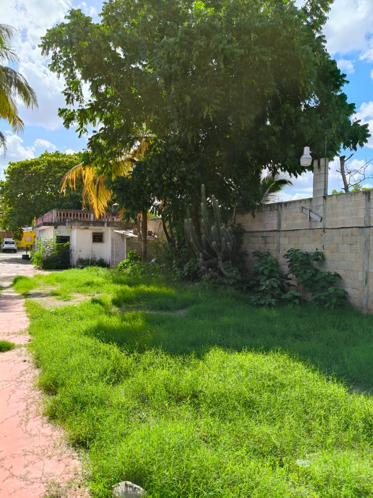 9655.23 sq. feet in Colonia Maya