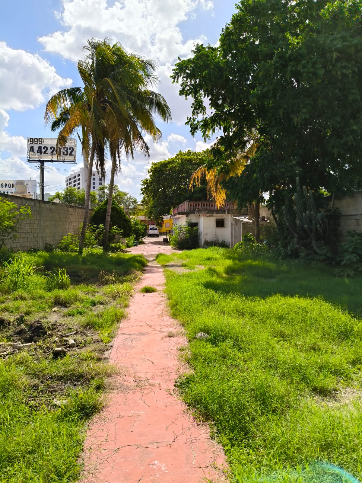 9655.23 sq. feet in Colonia Maya