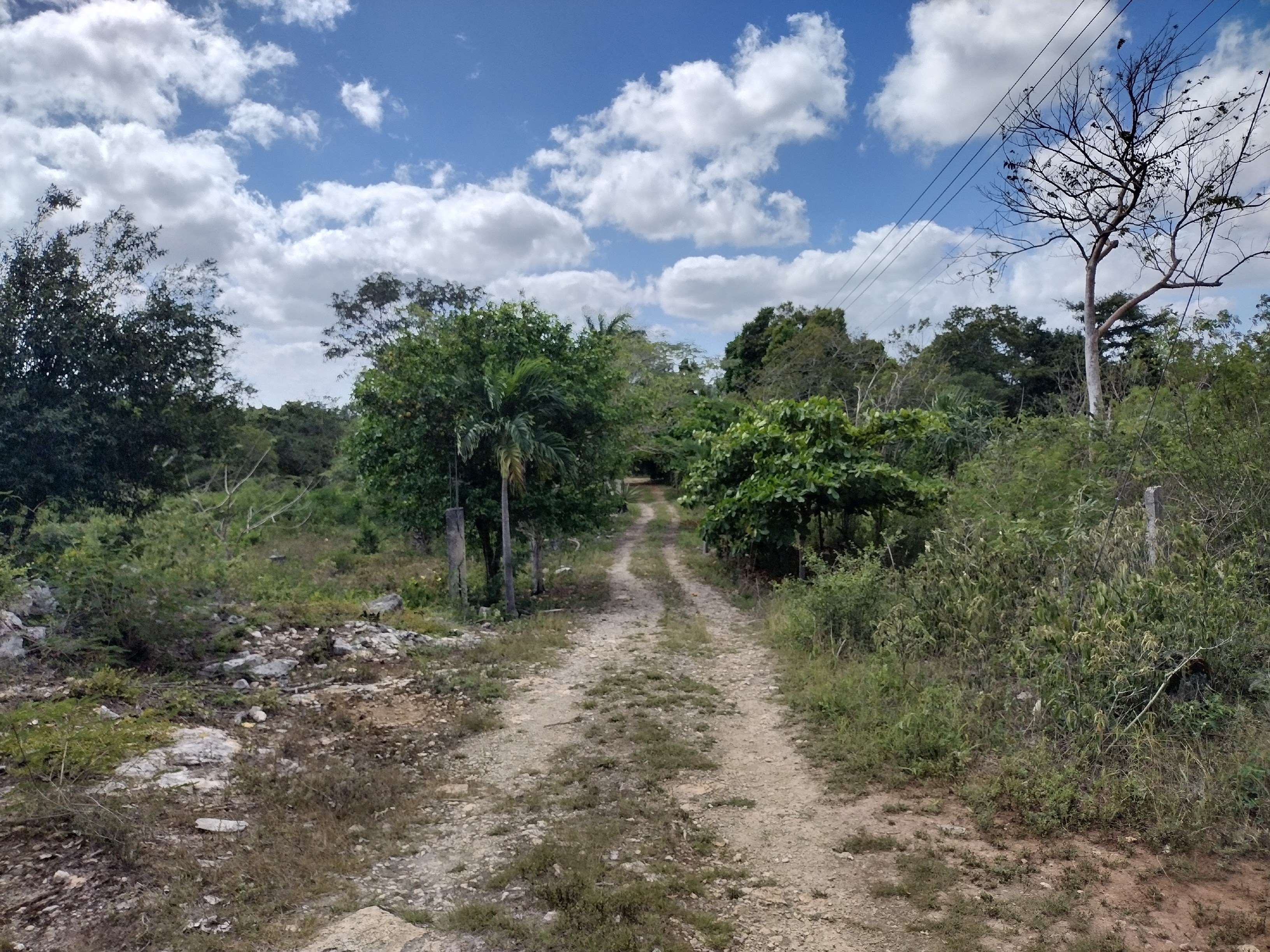 All-in-One Investment near Chichen Itza