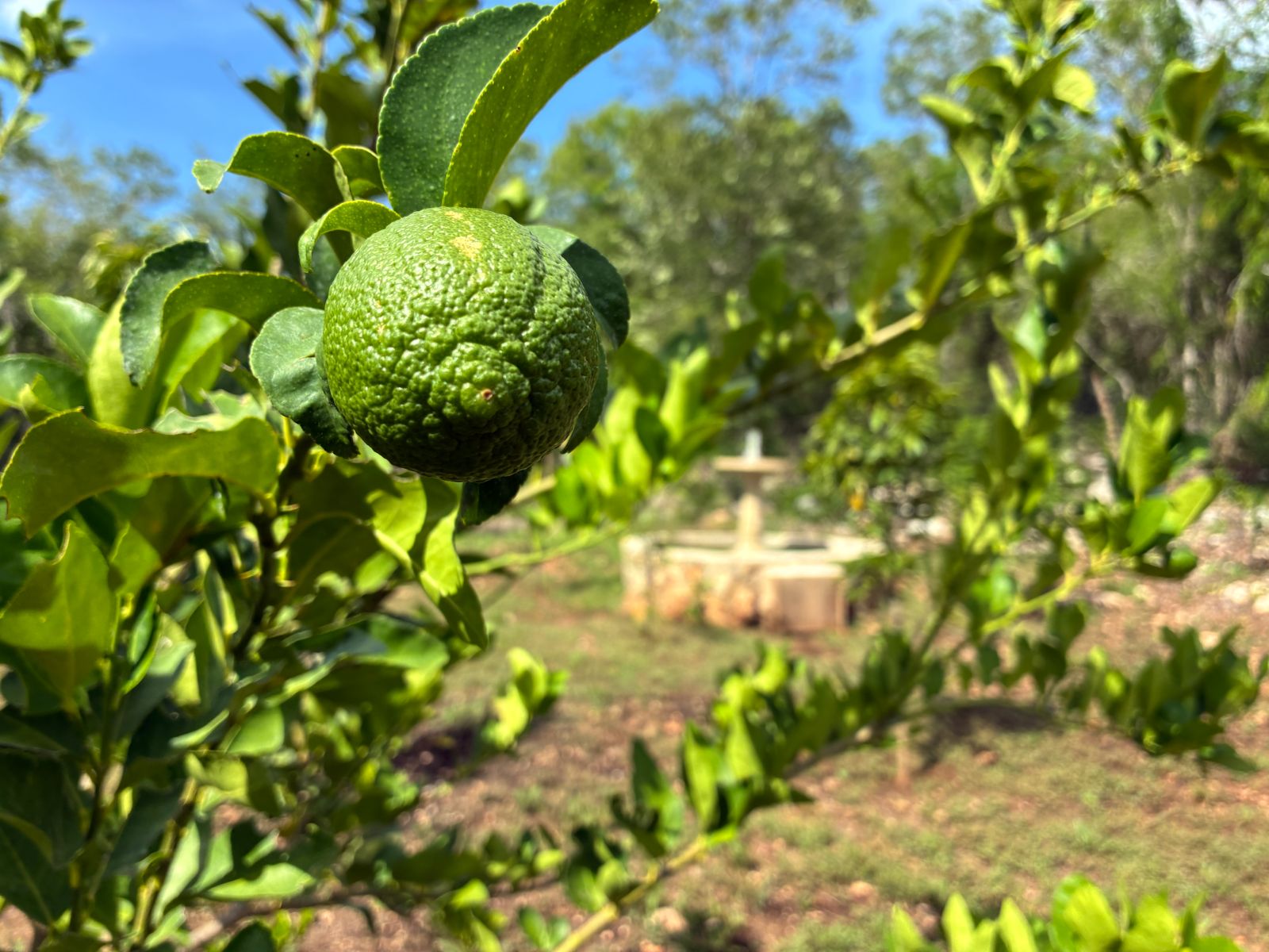Una finca privada con un toque de magia