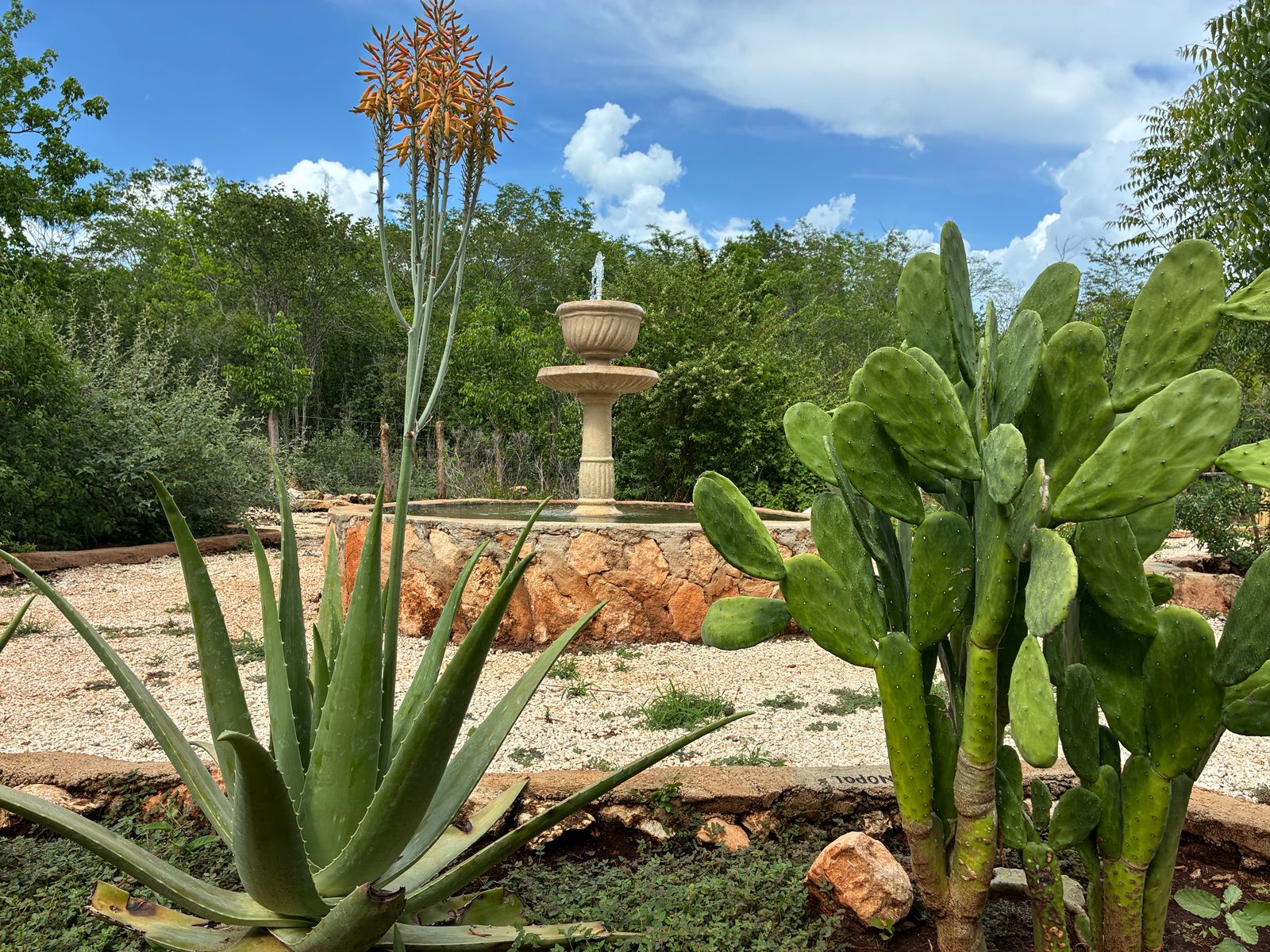 Una finca privada con un toque de magia