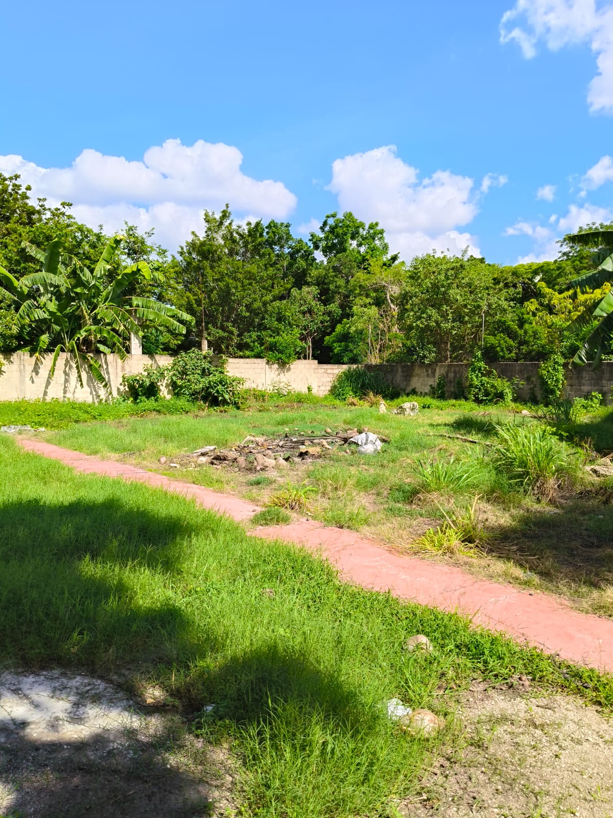 9655.23 sq. feet in Colonia Maya