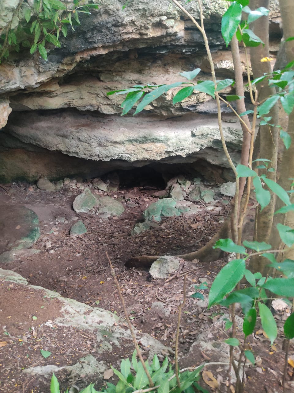 Cenote San Pedro