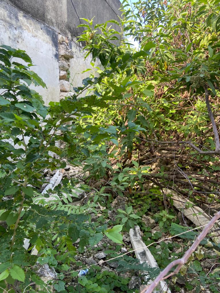 Excelente Terreno en Esquina, Barrio de Santiago