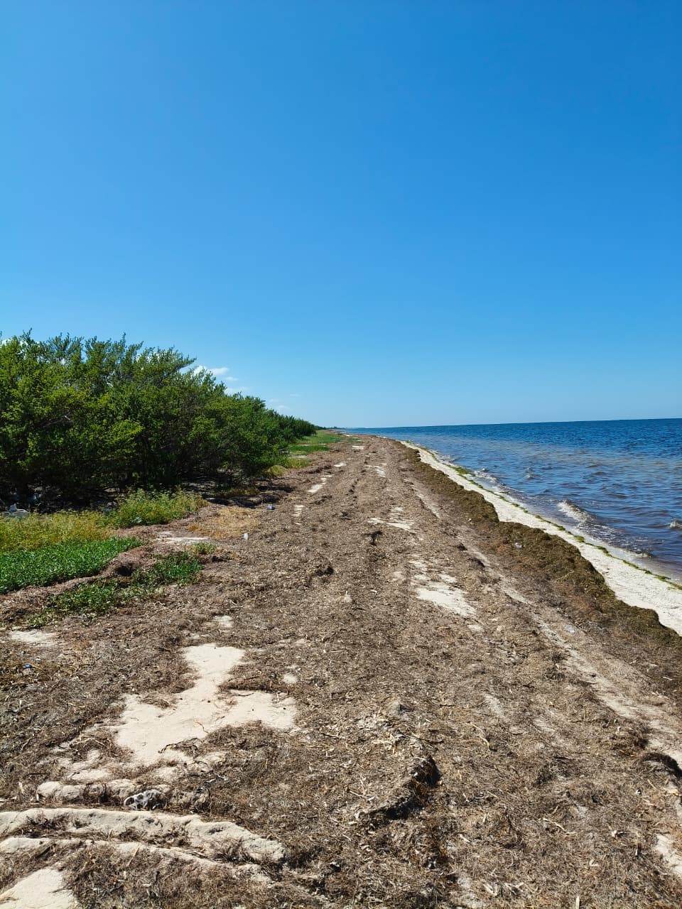 Frente al Mar en Chabihau