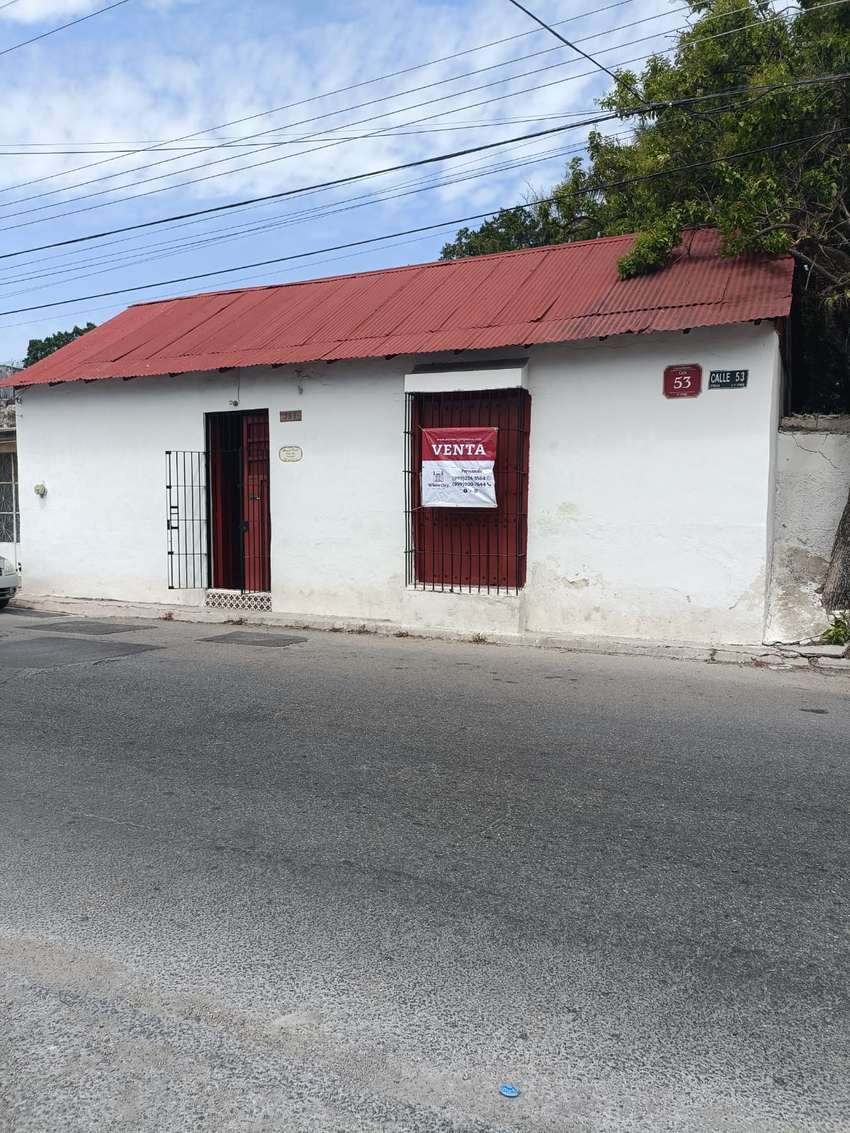 Gran Terreno Y Muchos Árboles Frutales.