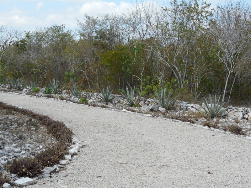 Hacienda San Ignacio