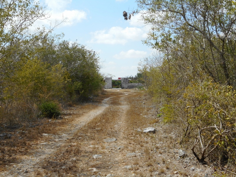 Hacienda San Ignacio