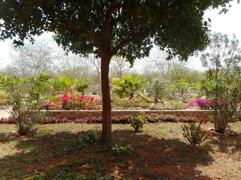 Hacienda San Ignacio