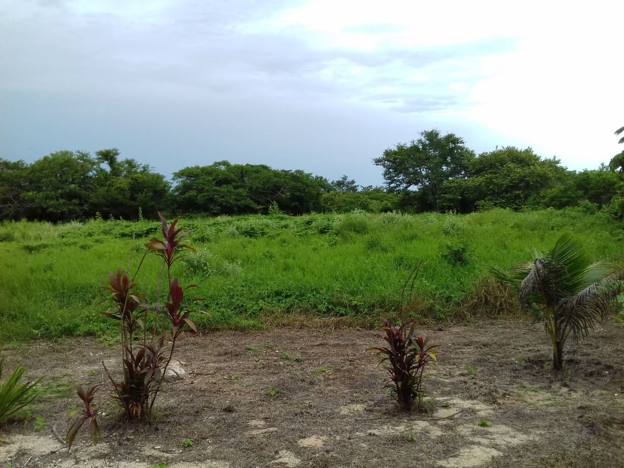 Hacienda San Nicolas