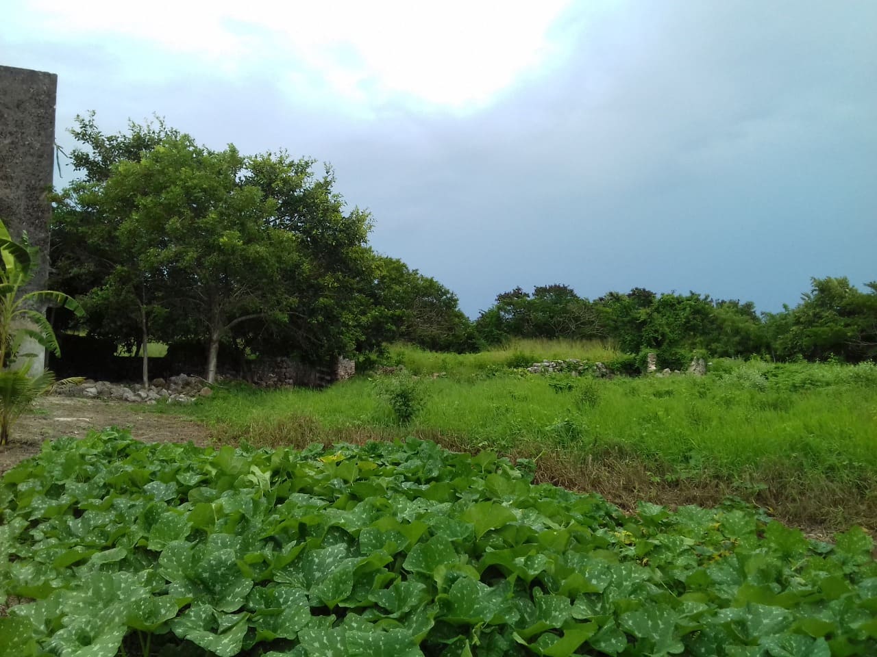 Hacienda San Nicolas