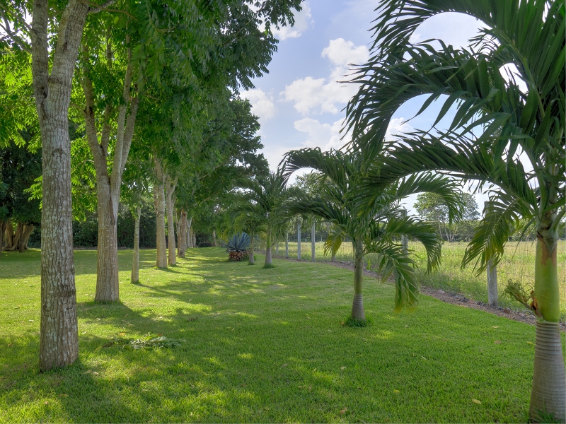 Hermoso Rancho near Mani, Yucatan