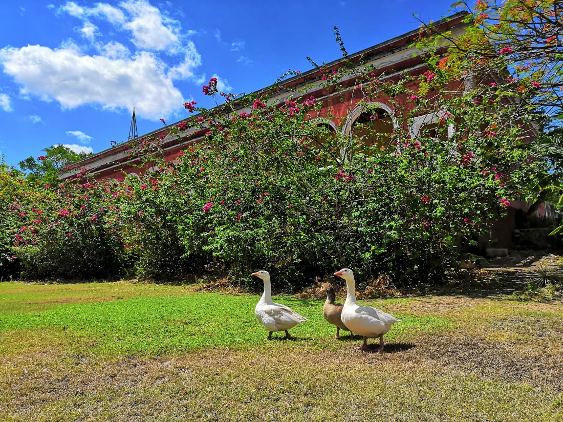 Histórica Hacienda