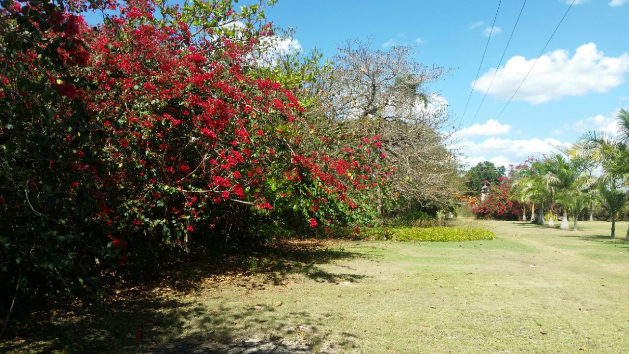 Histórica Hacienda