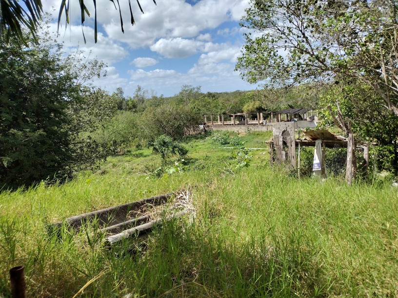 All-in-One Investment near Chichen Itza