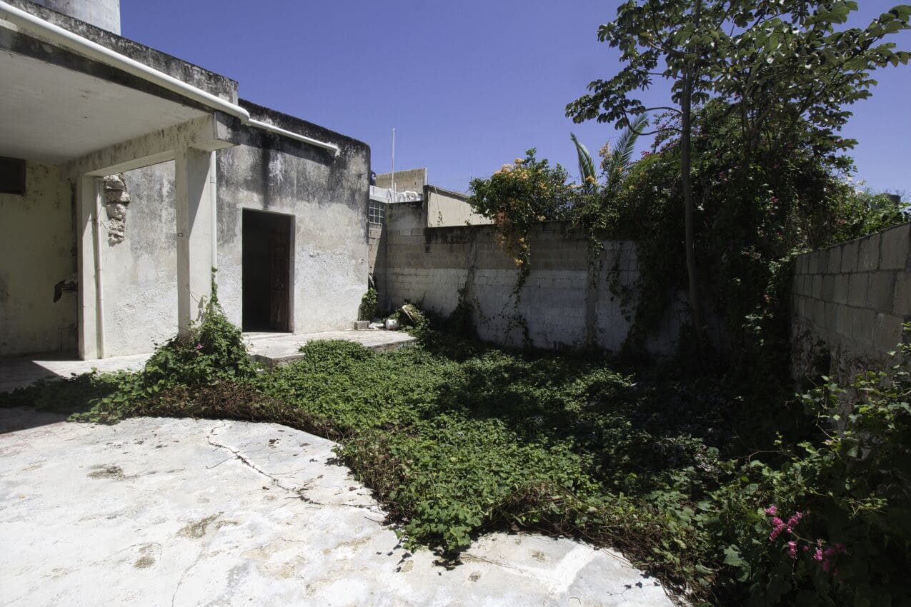 Jardín, Vigas & Pasta